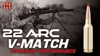 22 ARC: V-Match Terminal Performance