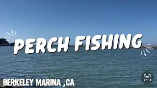 Berkeley Marina ,Ca #perch #fishing #bayareafishing #adventure #explore #outdoors #shorts #fyp #fish