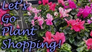 Cornelius on Voss! - Plant Shopping in the Houston Area | Lofi Music | No Talking | Pretty Flowers