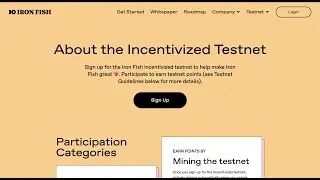 Обзор тестнета Iron Fish | Новые задания 🚀