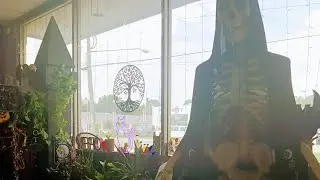 Tour of my local Mystic Moon shop 🧙