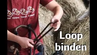 Creapferd - Loop binden (modifiziertes Roping Rein)