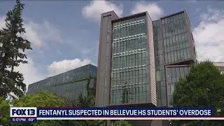 Fentanyl suspected in Bellevue High School students' overdose | FOX 13 Seattle