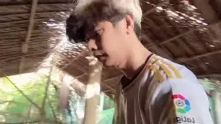 Xin chào cả nhà ! Hôm nay đi nhặt tứng cùng em nha . Xem thử đuọc bao nhiêu quả nha