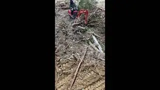 Live: Battle of the Backyard: Excavator vs Nature #107 | God of Ruin akkiro0m