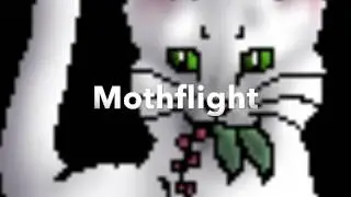 All Medicine Cats Of WindClan - Warrior Cats