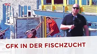 Wie entsteht eine fahrbare Fischzucht-Bühne? 🐟