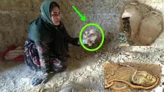 Mysterious bones discovered in cave