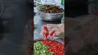 Fried Spider Cricket Giant Water Bug & More, Exotic Food