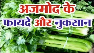 अजमोद के फायदे | Ajmod ke fayde | Parsley health benefits
