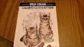 Calming Cats & Kittens Coloring Book Flip Through