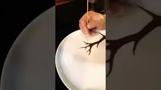 #plate #platedecoration #platedecorationtutorial #dessert #dessertdecorating #dessertdesign #plating