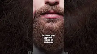 TOP 5 Silly Beard Myths / Part 2 #beard