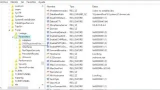 REGEDIT PRIVADO + REACH 4.5 BLOQUES INDETECTABLE