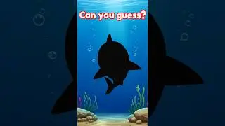 Guess the Sea Animal Shadow| Can You Guess This Shadow? | What Animal Is This? | Kids Learning Short