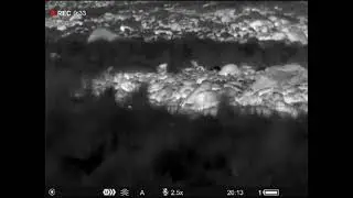 Monitoreos nocturnos con binoculares multiespectro