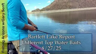 Bartlett Lake Fishing Report 8/28/25 - Different Top Water Baits