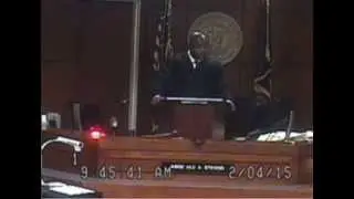 Judge Olu Stevens