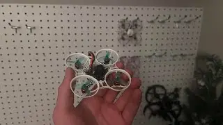 Broken Whoop + Full Scale Track | Whooptopia Day 6