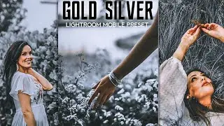 Moddy Gold Silver-Lightroom Mobile premium preset|Best preset 2021|The Evolution Stream.