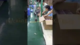 Our factory is packing the blind box figure | 10+ Years Toy Manufacturer in China #toymanufacturer