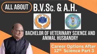 All About BVSc & AH Degree Course (Veterinary Science): Career Options After 12th Science Part 3