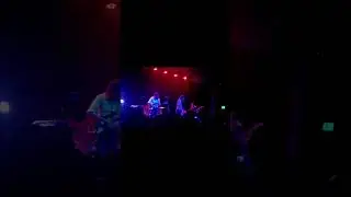 Concert 🎵 hot #freaks music best #short#song
