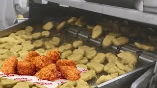 How Chicken Nuggets Are Really Made in the Factory 🏭