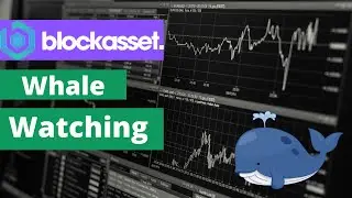 BLOCKASSET CRYPTO WHALE WATCHING - Solana Explorer