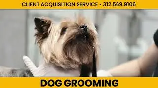 How To Get The Right Clients To Your Business | Client Acquisition Service