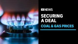 Federal government hints at compensation for states over coal price cap | ABC News