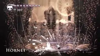 Beating Hornet until Hollow Knight: Silksong comes out. Day 1080.