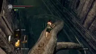 49. How to get Sunlight Maggot, Dark Souls: Remastered