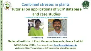 SCIPDb_38: Tutorial on applications of SCIP database and case studies