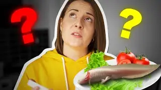 UN AXOLOTL DANS MA CUISINE !? Pourquoi je met mes Axolotls en Tupperware ??? Part.2 du GUIDE ULTIME!