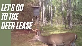 Let's Go To The Deer Lease