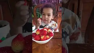 Strawberry mukbang #kidplay #kids #mukbang #strawberry #strawberries
