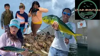 Mahi and Lobster Madness in Big Pine Key!! Adventures in the Florida Keys!!
