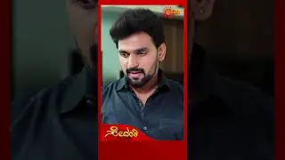 Sevanthi | #shorts | Kannada Serial | Udaya TV