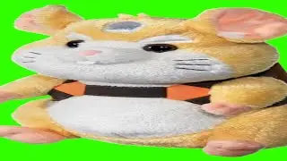hamster time