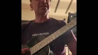 Blind Willie Mc Tell - Your Time To Worry-  Hauver 12 string