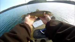 Brown Trout fishing on Cape Cod, Massachusetts