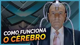 COMO FUNCIONA O C&Eacute;REBRO DE CHARLES XAVIER