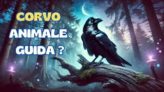 Il corvo come animale guida: scopri i segreti nascosti sul tuo destino