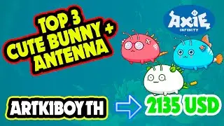 Top 3. Cute Bunny + Antenna.