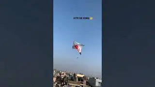 RAY 👑 BEST BIG KITE FLYING LUDHIANA STATUS| BUG KITE FLYING LOHRI 2024 🤩 #bigkites