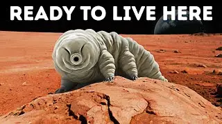 The Only Creature That Can Survive On Mars