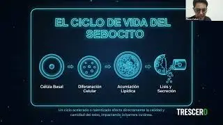 Clase 3 Tricoterapeuta 