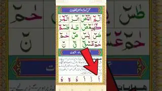 Noorani Qaida for Kids & Adults | Beautiful Quran Learning