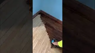 #howto #stain #hardwood #floors #different #directions #borders #woodfloorrefinishing